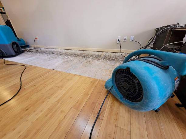 Professional Water Damage Repair technician working in Rush, CO